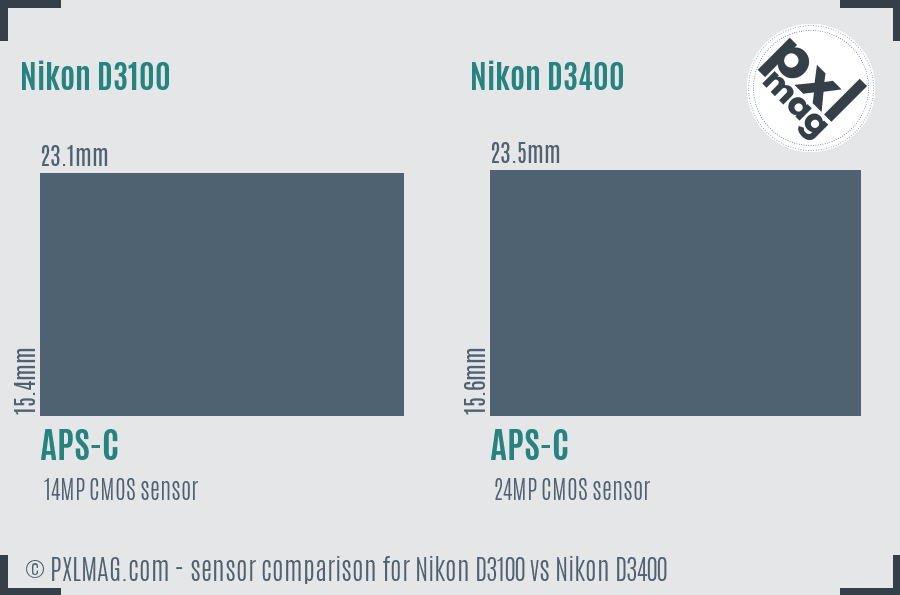 Nikon D3100 vs Nikon D3400 sensor size comparison