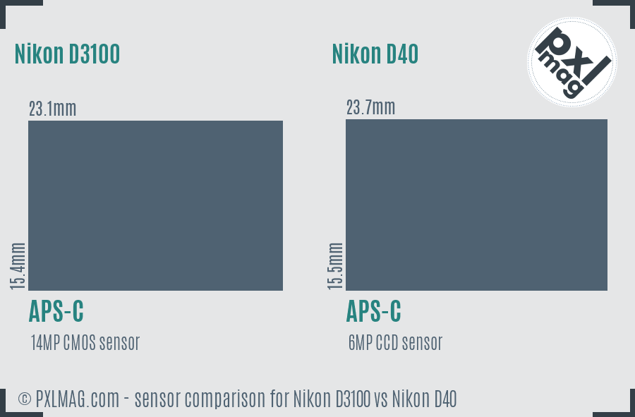 Nikon D3100 vs Nikon D40 sensor size comparison