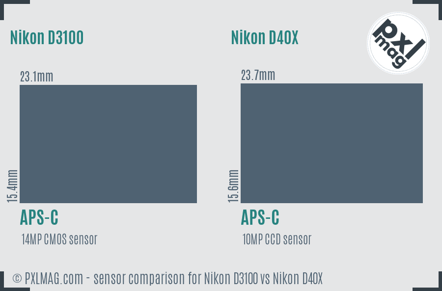 Nikon D3100 vs Nikon D40X sensor size comparison
