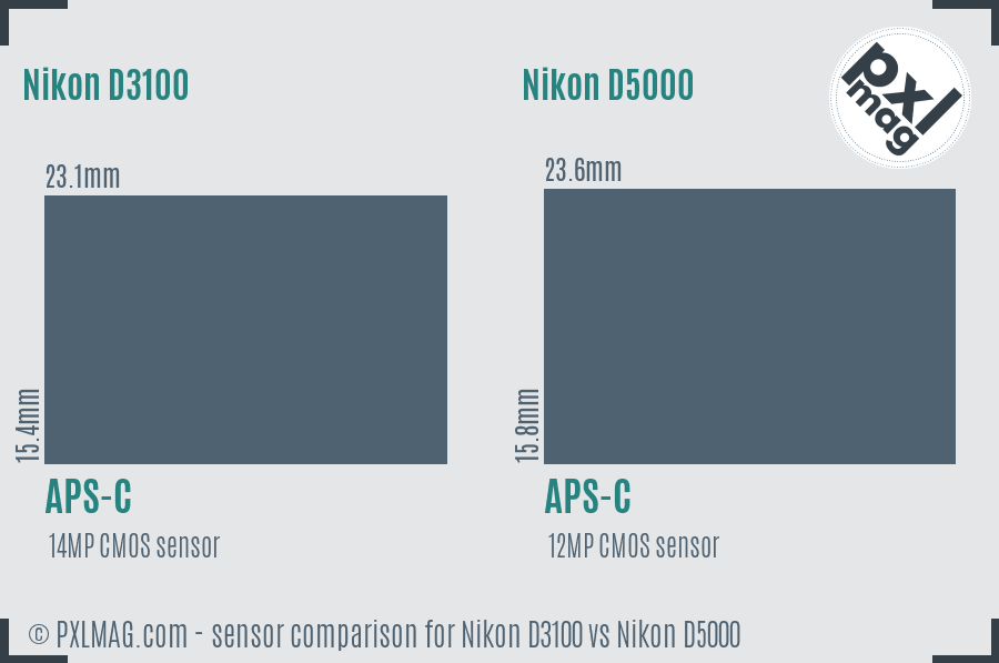 Nikon D3100 vs Nikon D5000 sensor size comparison