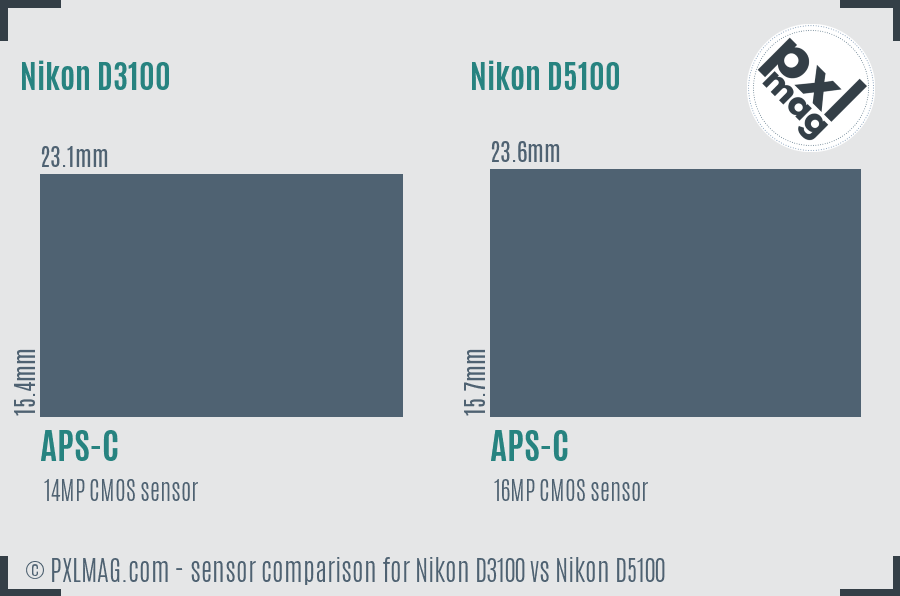 Nikon D3100 vs Nikon D5100 sensor size comparison