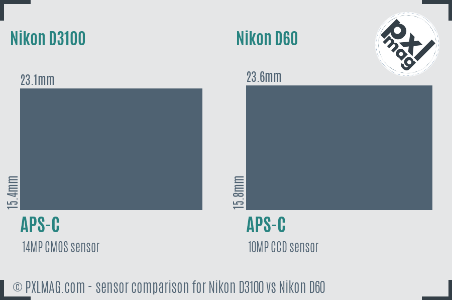 Nikon D3100 vs Nikon D60 sensor size comparison