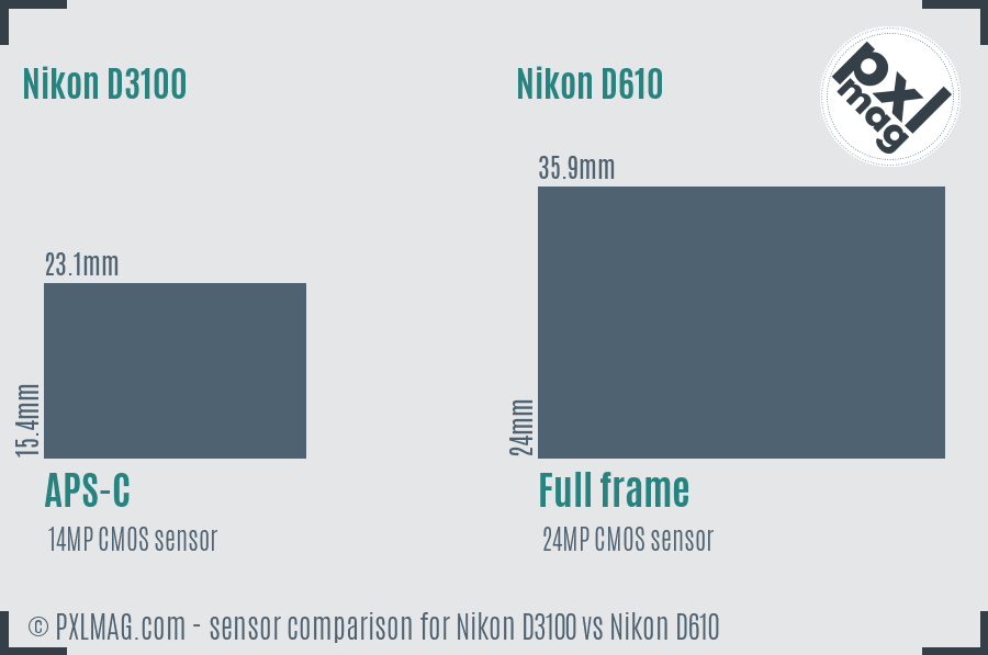Nikon D3100 vs Nikon D610 sensor size comparison