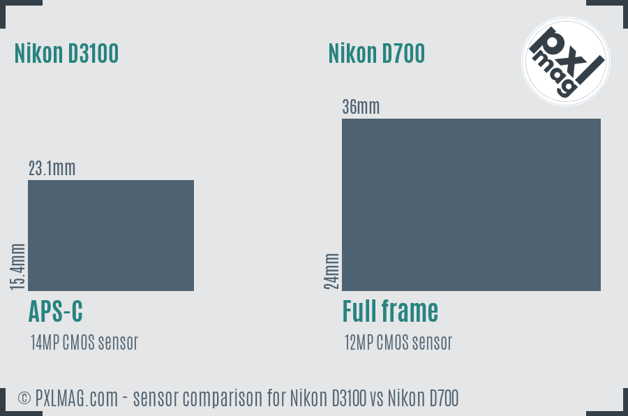 Nikon D3100 vs Nikon D700 sensor size comparison