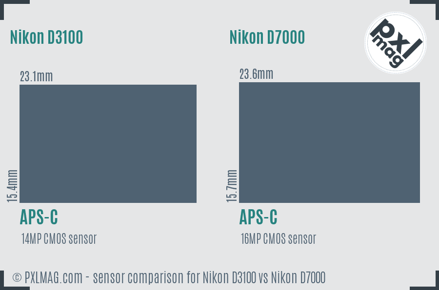 Nikon D3100 vs Nikon D7000 sensor size comparison Nikon D3100 vs Nikon D7000 sensor size comparison
