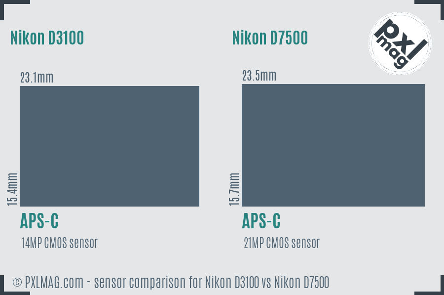 Nikon D3100 vs Nikon D7500 sensor size comparison Nikon D3100 vs Nikon D7500 sensor size comparison