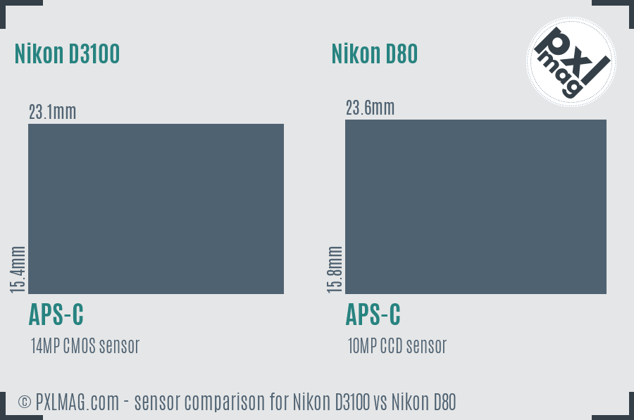 Nikon D3100 vs Nikon D80 sensor size comparison