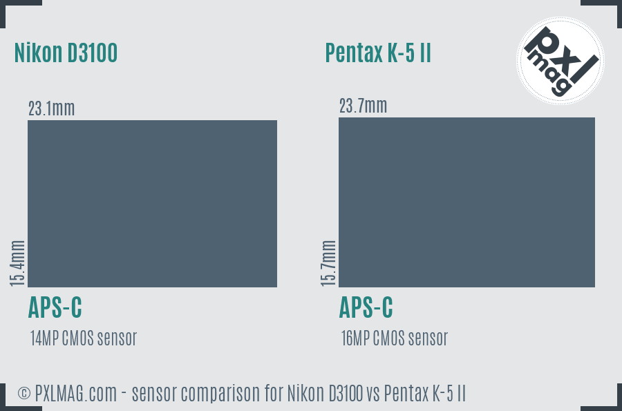 Nikon D3100 vs Pentax K-5 II sensor size comparison