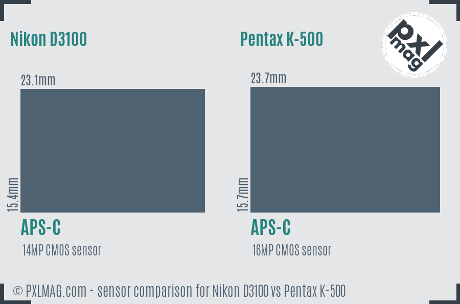 Nikon D3100 vs Pentax K-500 sensor size comparison