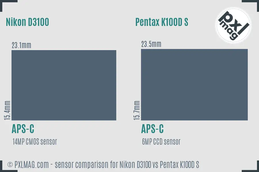 Nikon D3100 vs Pentax K100D S sensor size comparison