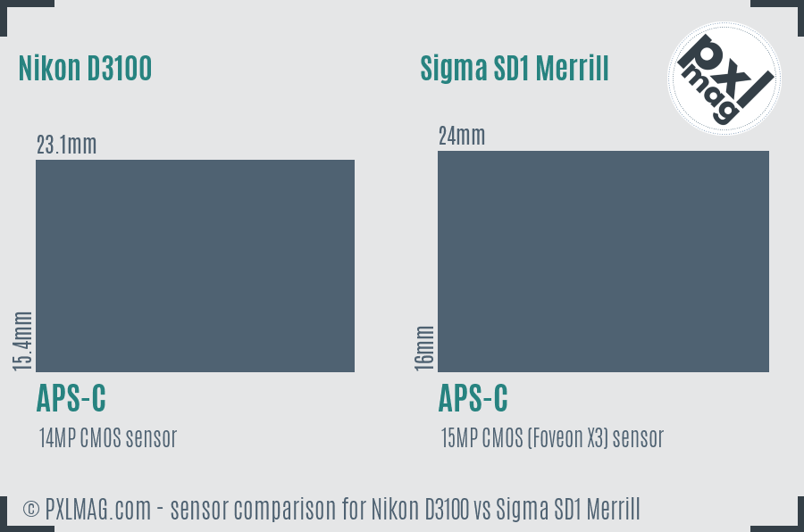 Nikon D3100 vs Sigma SD1 Merrill sensor size comparison
