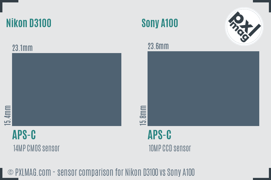 Nikon D3100 vs Sony A100 sensor size comparison