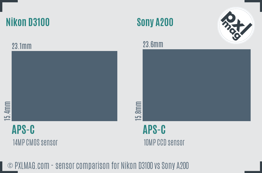Nikon D3100 vs Sony A200 sensor size comparison
