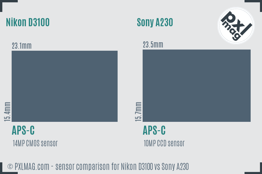 Nikon D3100 vs Sony A230 sensor size comparison