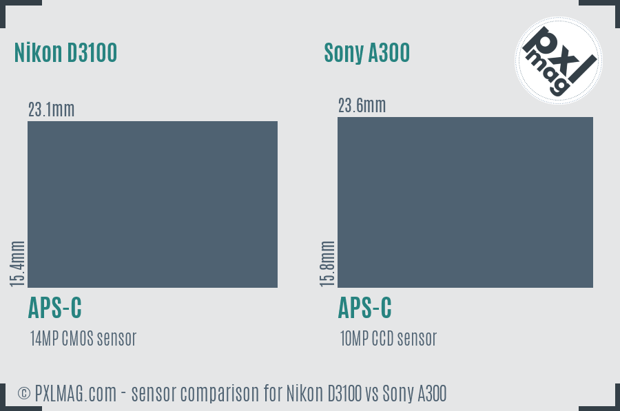 Nikon D3100 vs Sony A300 sensor size comparison