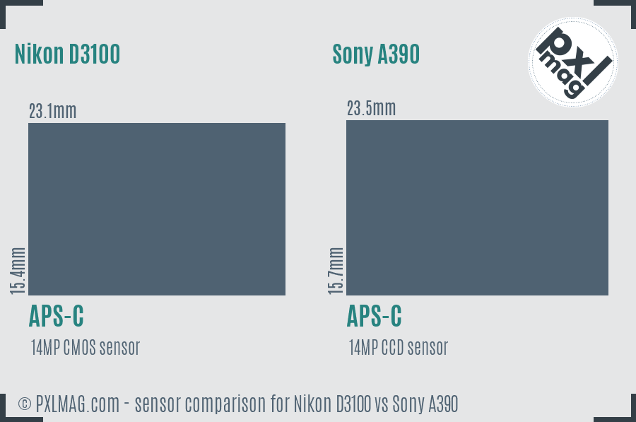 Nikon D3100 vs Sony A390 sensor size comparison
