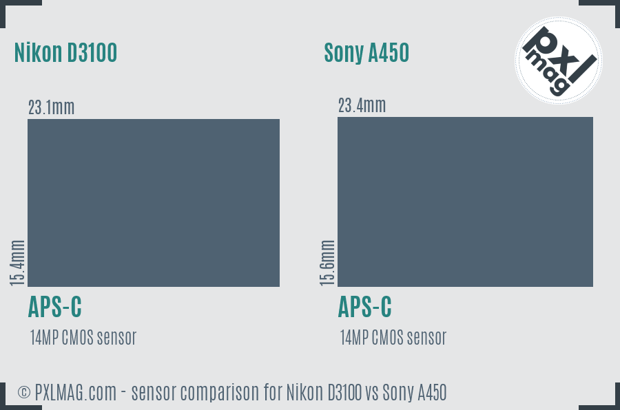 Nikon D3100 vs Sony A450 sensor size comparison
