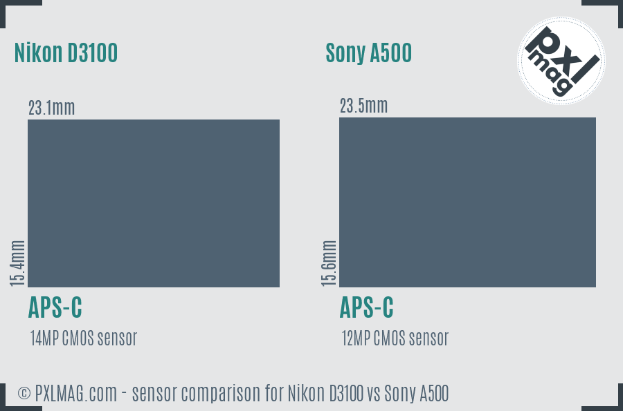 Nikon D3100 vs Sony A500 sensor size comparison