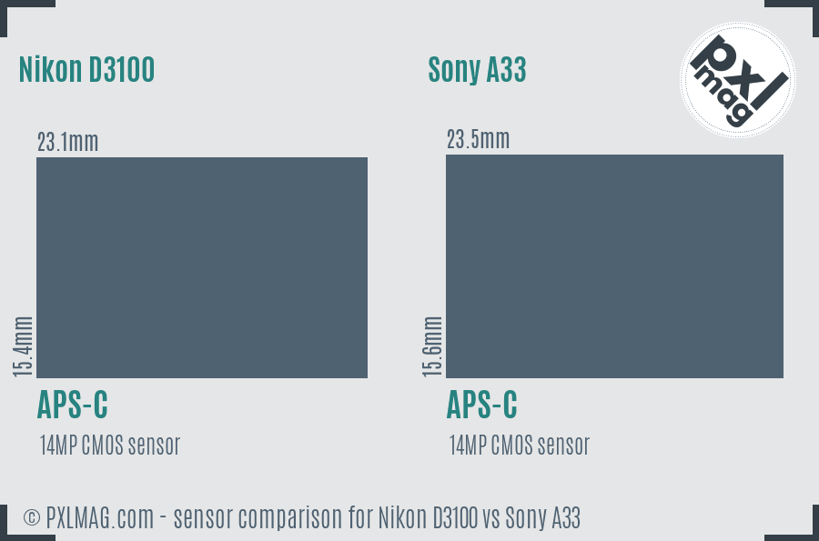 Nikon D3100 vs Sony A33 sensor size comparison