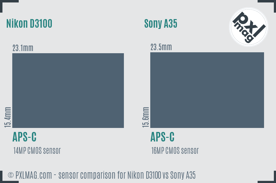 Nikon D3100 vs Sony A35 sensor size comparison