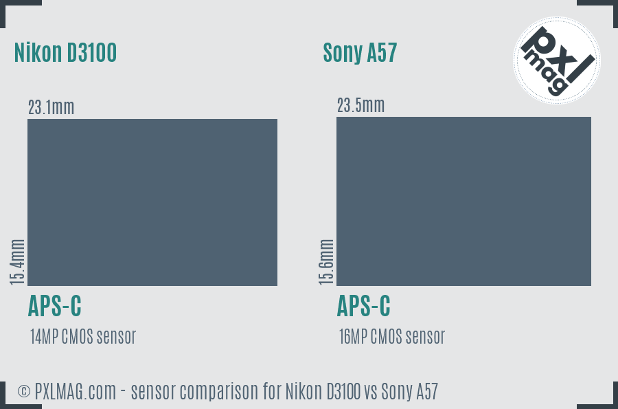 Nikon D3100 vs Sony A57 sensor size comparison