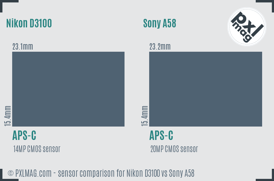 Nikon D3100 vs Sony A58 sensor size comparison