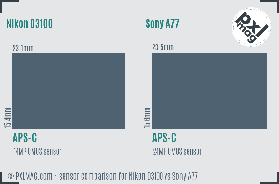 Nikon D3100 vs Sony A77 sensor size comparison Nikon D3100 vs Sony A77 sensor size comparison