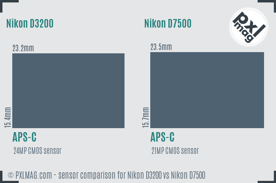 Nikon D3200 vs Nikon D7500 sensor size comparison