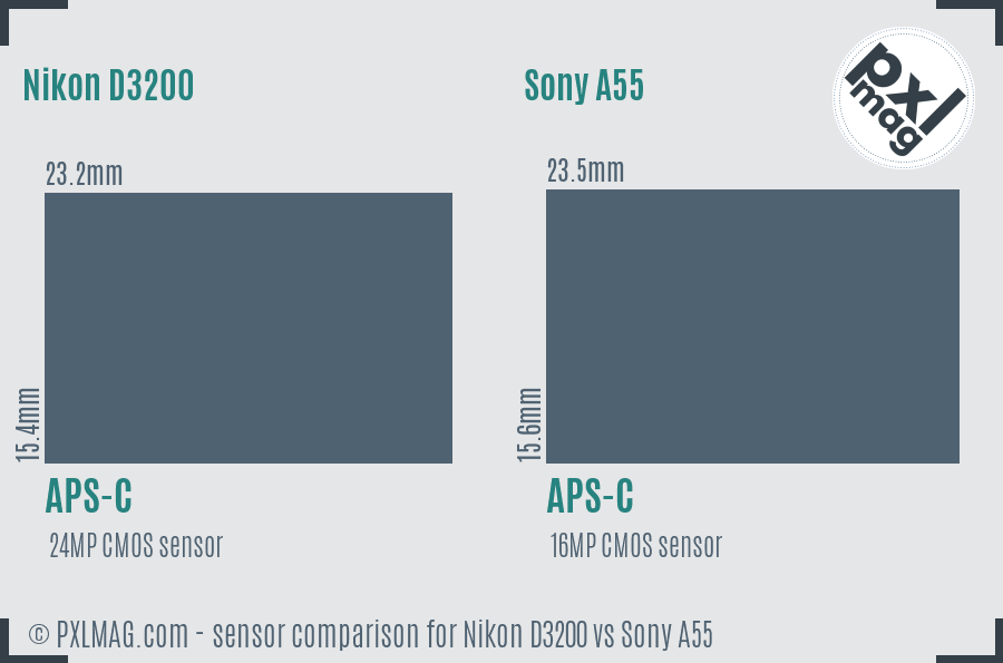 Nikon D3200 vs Sony A55 sensor size comparison