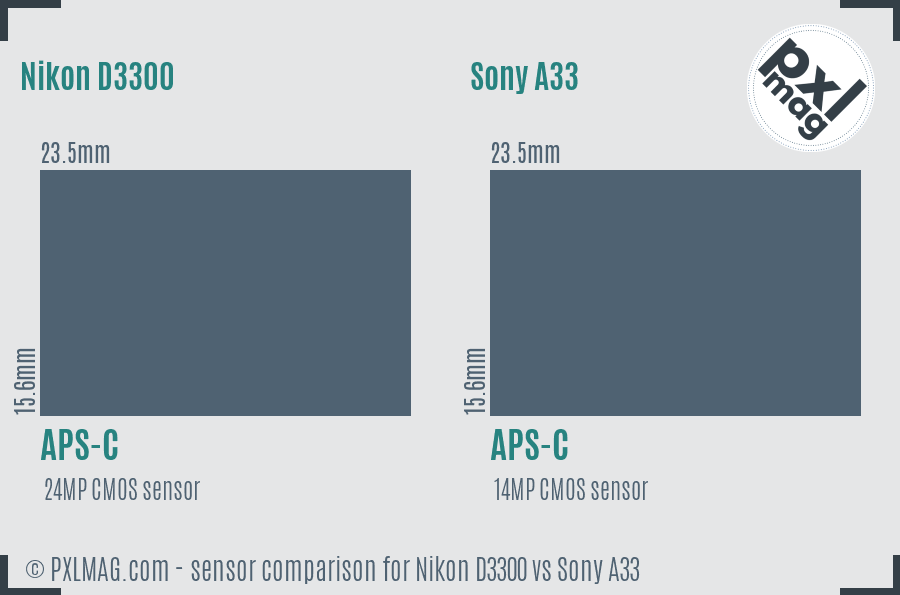 Nikon D3300 vs Sony A33 sensor size comparison