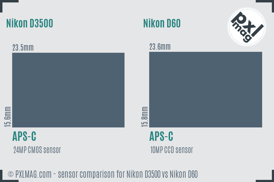Nikon D3500 vs Nikon D60 sensor size comparison