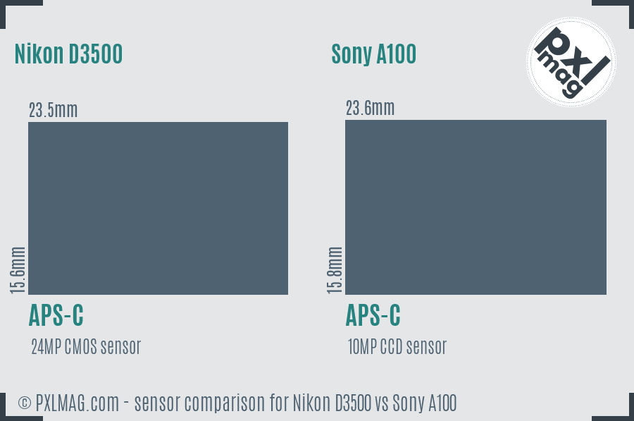Nikon D3500 vs Sony A100 sensor size comparison