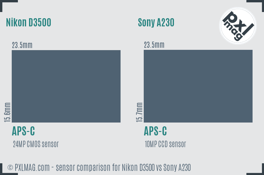 Nikon D3500 vs Sony A230 sensor size comparison