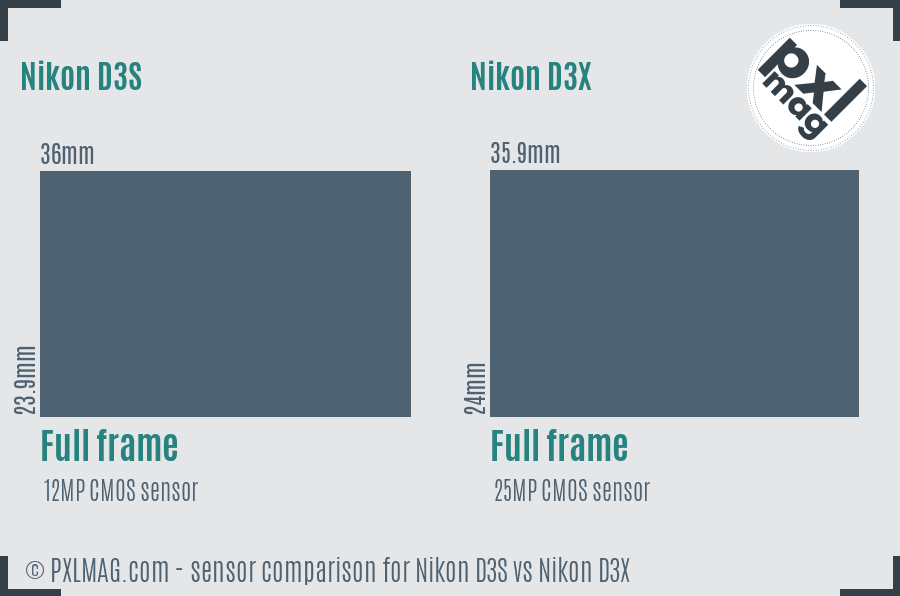 Nikon D3S vs Nikon D3X sensor size comparison