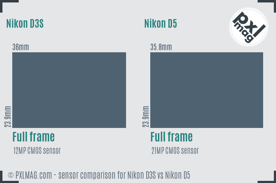 Nikon D3S vs Nikon D5 sensor size comparison