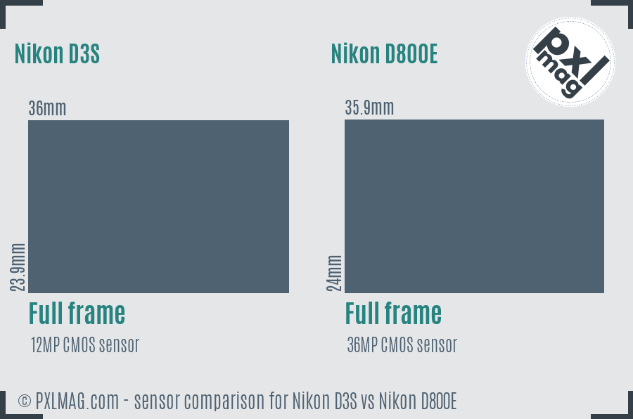 Nikon D3S vs Nikon D800E sensor size comparison Nikon D3S vs Nikon D800E sensor size comparison