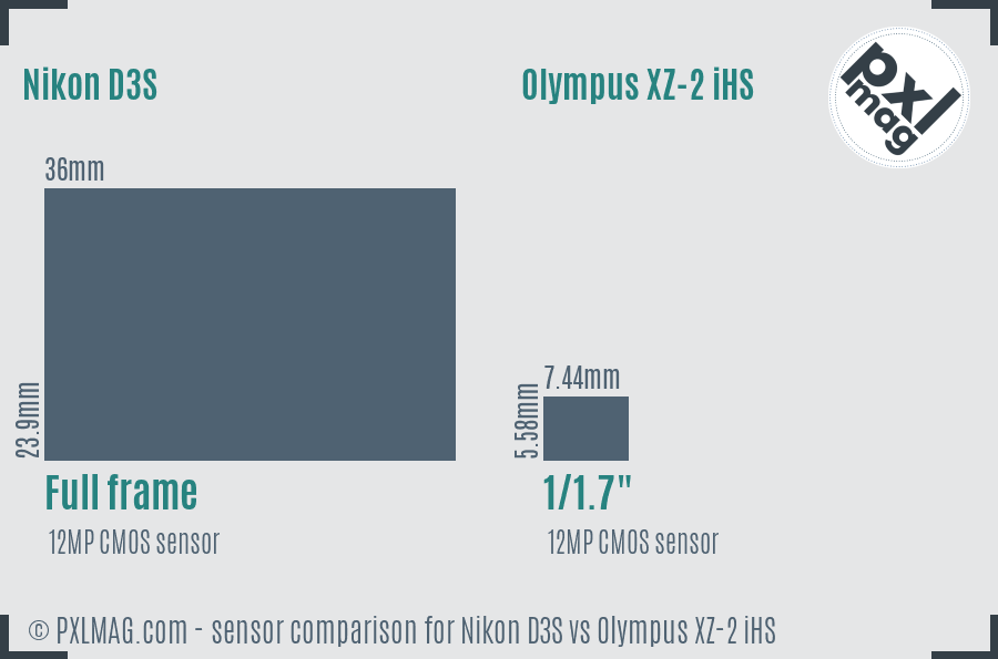 Nikon D3S vs Olympus XZ-2 iHS sensor size comparison