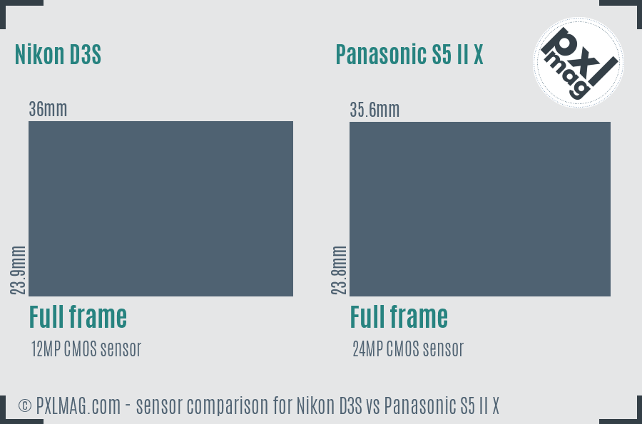 Nikon D3S vs Panasonic S5 II X sensor size comparison