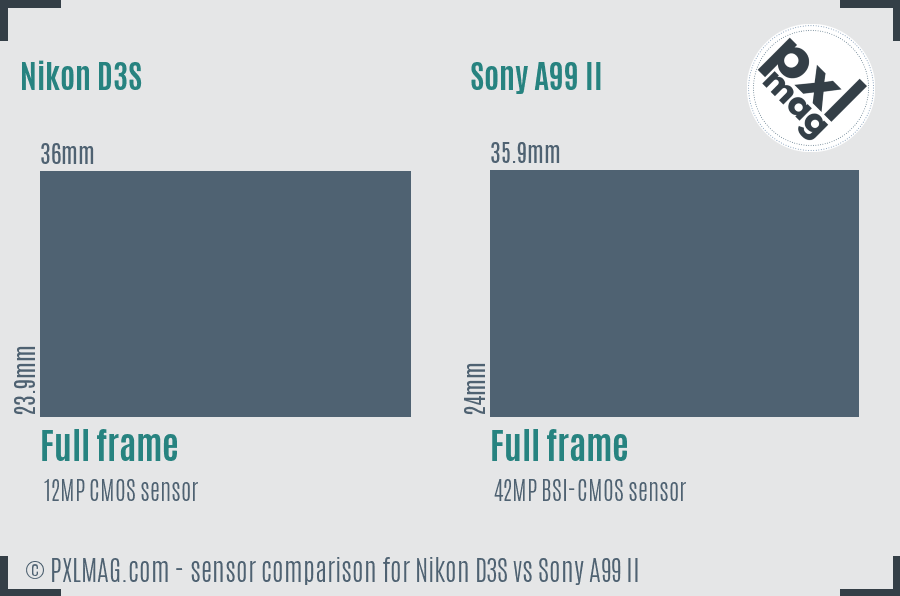 Nikon D3S vs Sony A99 II sensor size comparison