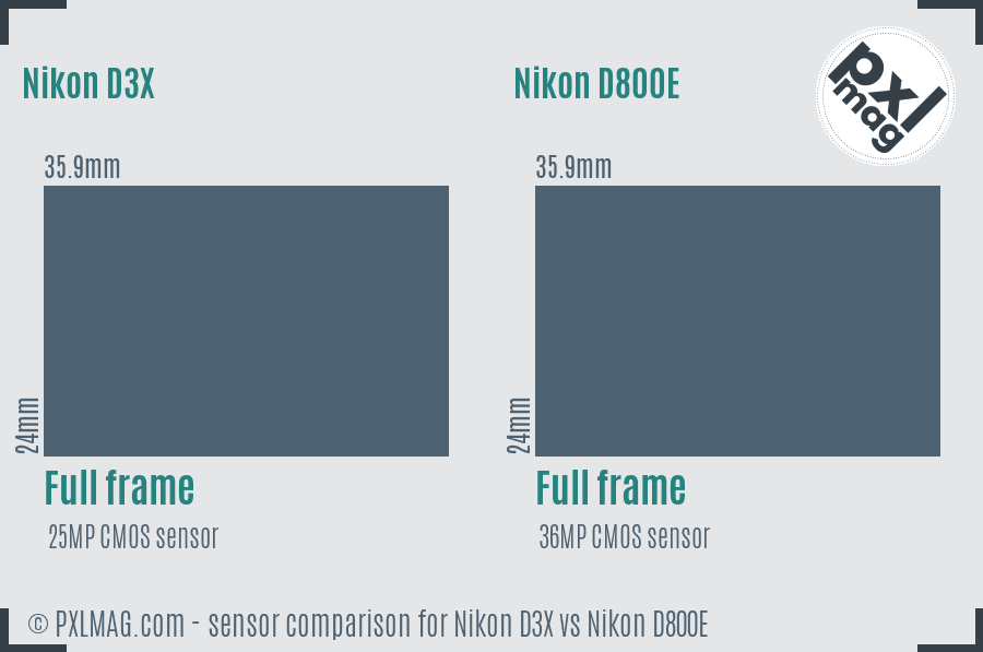 Nikon D3X vs Nikon D800E sensor size comparison Nikon D3X vs Nikon D800E sensor size comparison