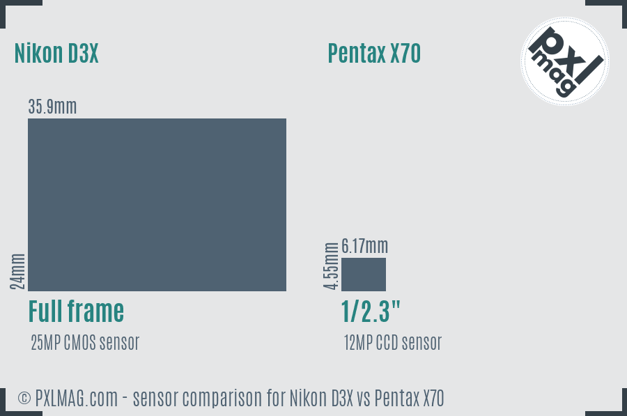 Nikon D3X vs Pentax X70 sensor size comparison