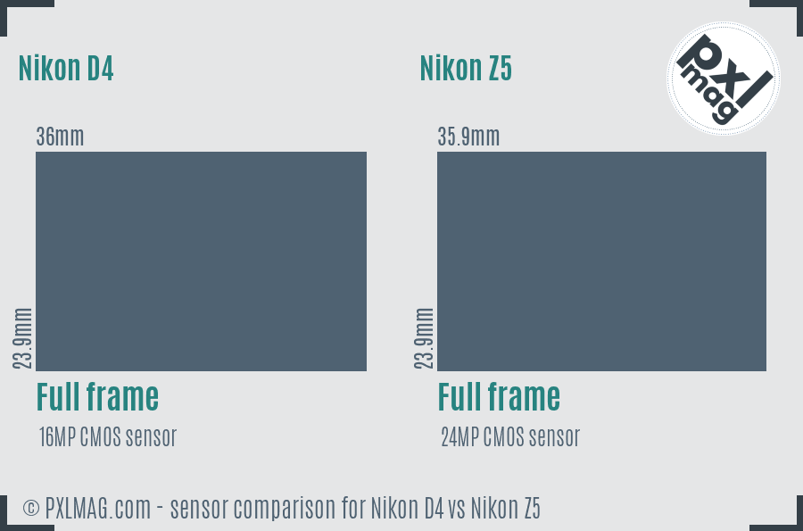 Nikon D4 vs Nikon Z5 sensor size comparison Nikon D4 vs Nikon Z5 sensor size comparison