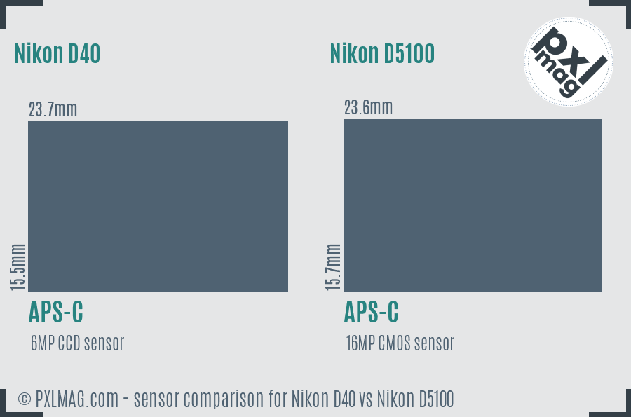Nikon D40 vs Nikon D5100 sensor size comparison