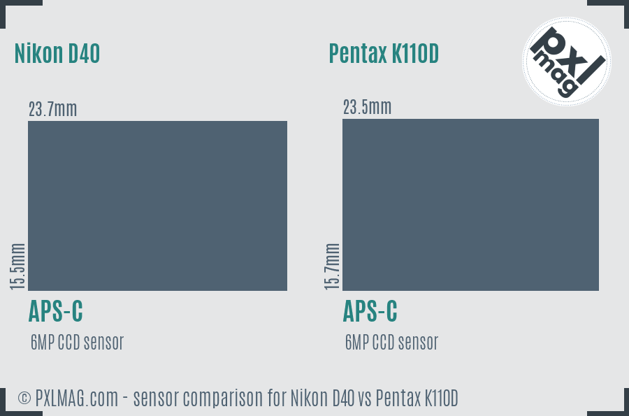 Nikon D40 vs Pentax K110D sensor size comparison