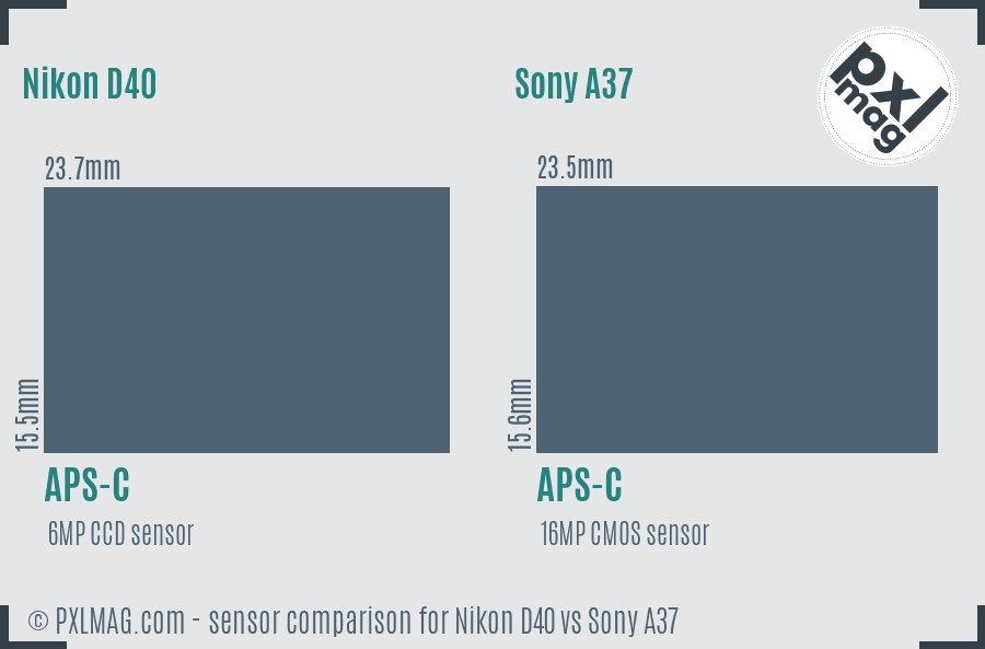 Nikon D40 vs Sony A37 sensor size comparison