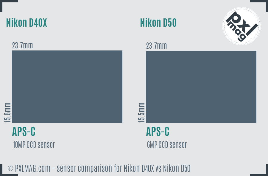 Nikon D40X vs Nikon D50 sensor size comparison