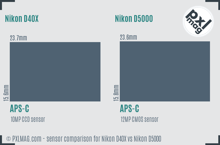 Nikon D40X vs Nikon D5000 sensor size comparison