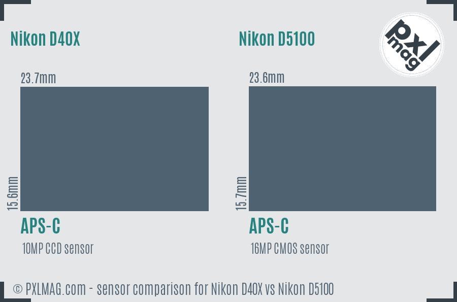 Nikon D40X vs Nikon D5100 sensor size comparison