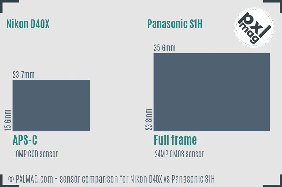 Nikon D40X vs Panasonic S1H sensor size comparison