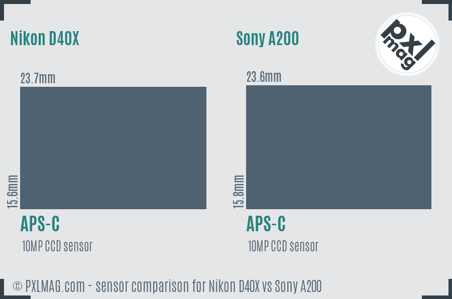 Nikon D40X vs Sony A200 sensor size comparison